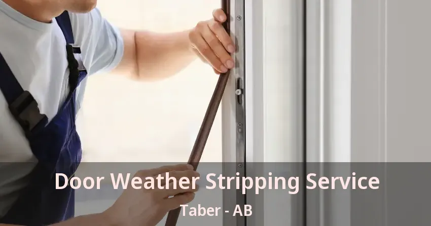 Door Weather Stripping Service Taber - AB