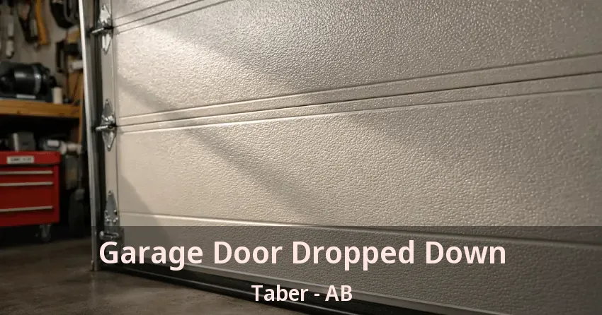 Garage Door Dropped Down Taber - AB Garage Door Dropped Down Taber - AB
