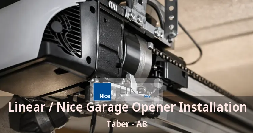 Linear / Nice Garage Opener Installation Taber - AB Linear / Nice Garage Opener Installation Taber - AB